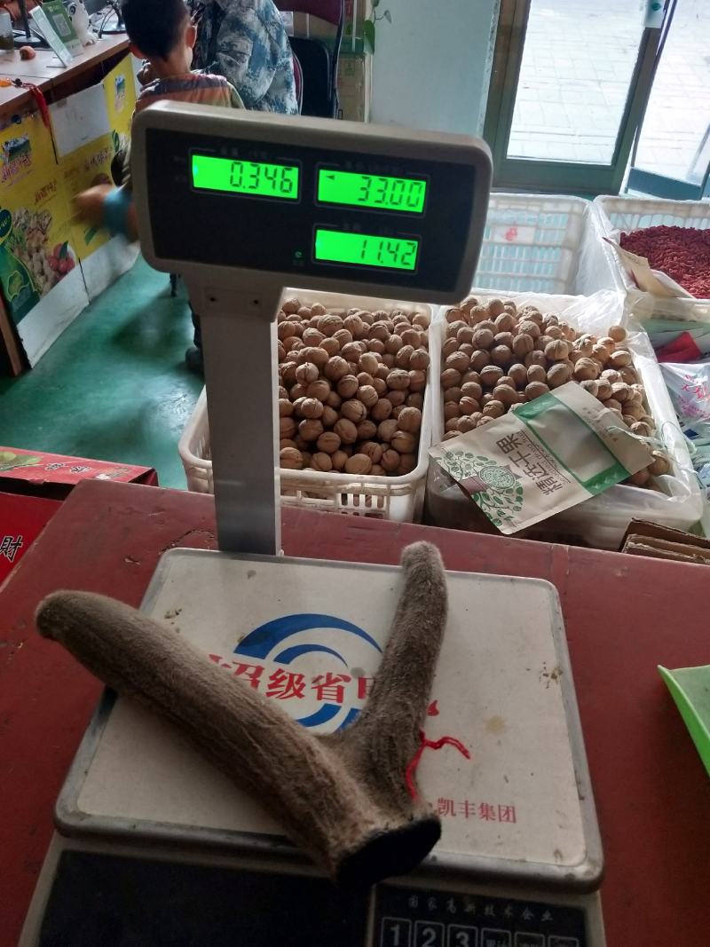 新疆塔河马鹿干鹿茸346克