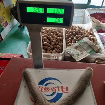 新疆塔河马鹿干鹿茸267克