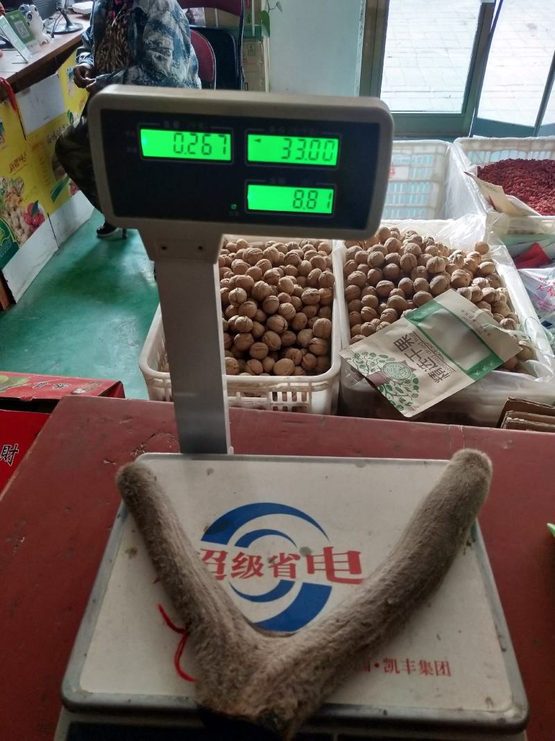 新疆塔河马鹿干鹿茸267克