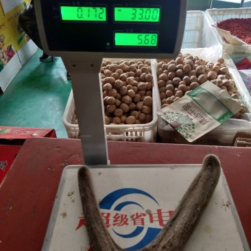 新疆塔河马鹿干鹿茸172克