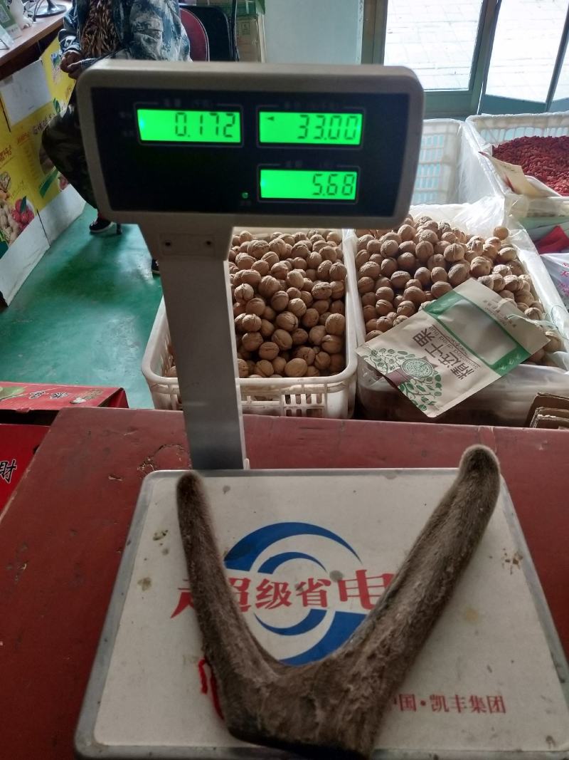 新疆塔河马鹿干鹿茸172克