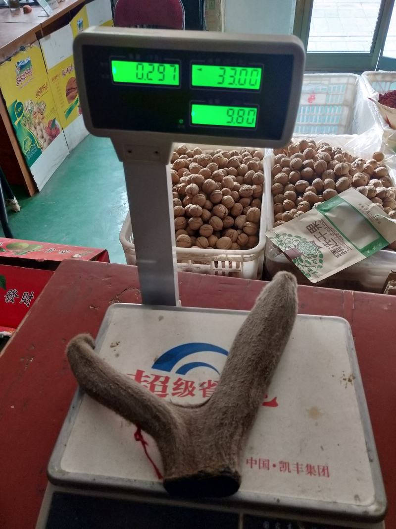 新疆塔河马鹿干鹿茸297克