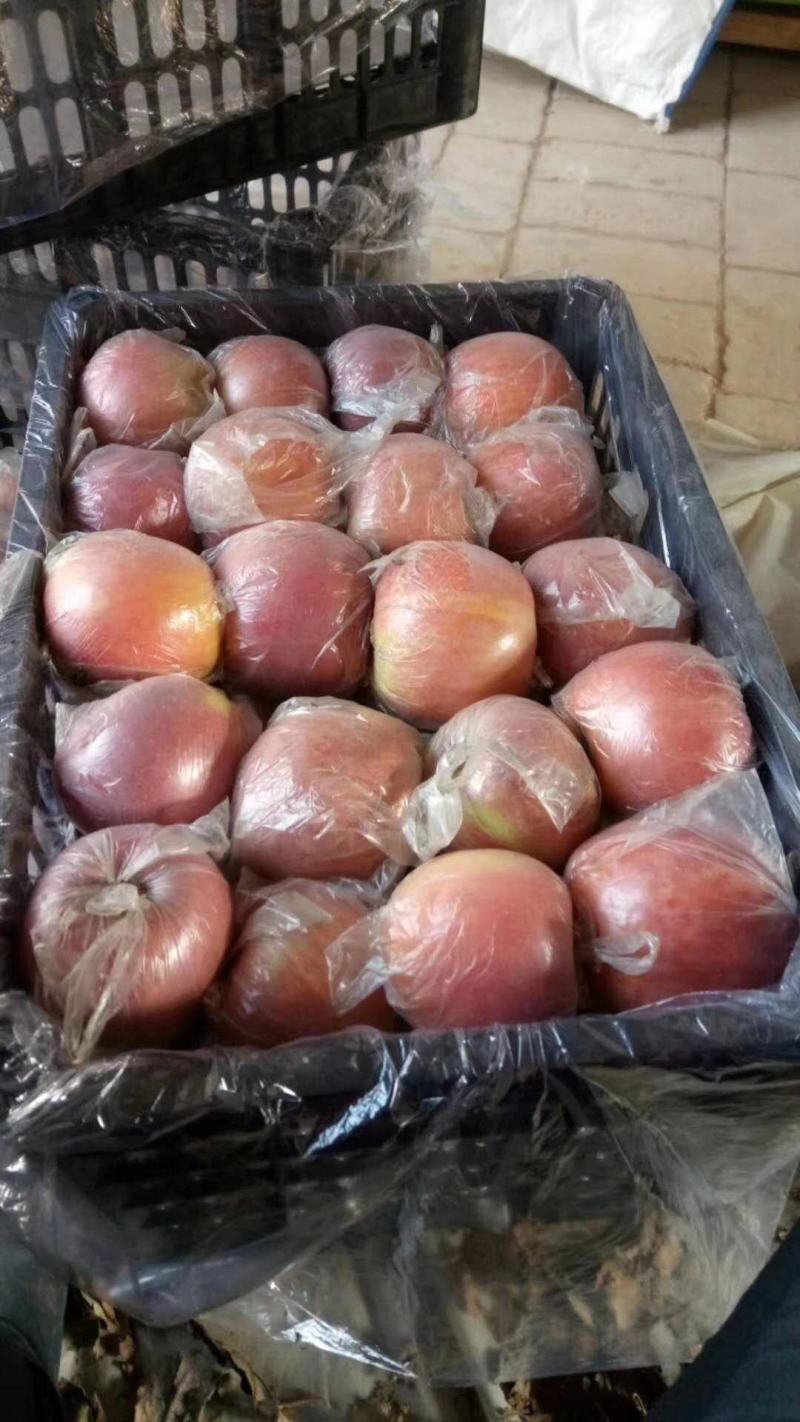 陕西膜袋红富士苹果大个头口感脆甜