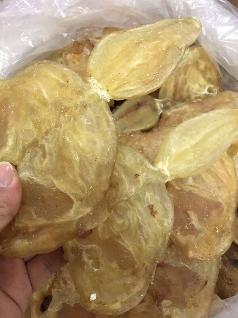 花胶新鲜漂亮厚肉葫芦鱼胶干度好泡发大烧烤滩高利润空间产品