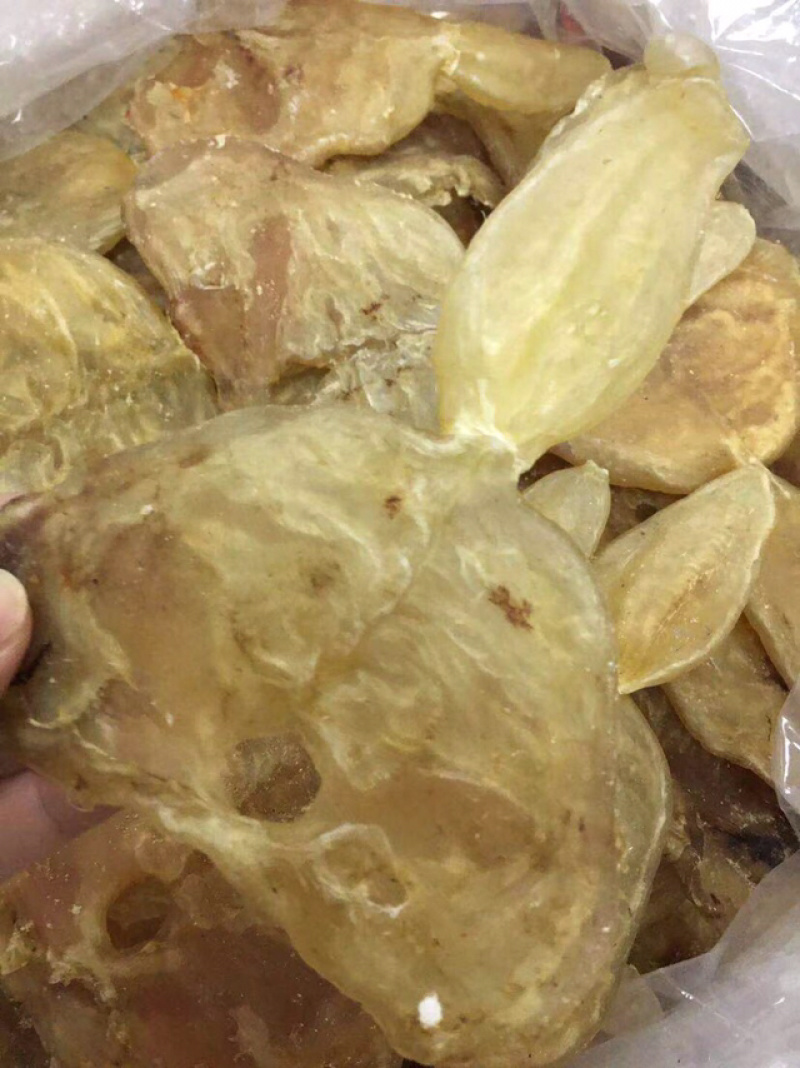 花胶新鲜漂亮厚肉葫芦鱼胶干度好泡发大烧烤滩高利润空间产品
