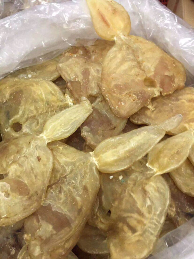 花胶新鲜漂亮厚肉葫芦鱼胶干度好泡发大烧烤滩高利润空间产品
