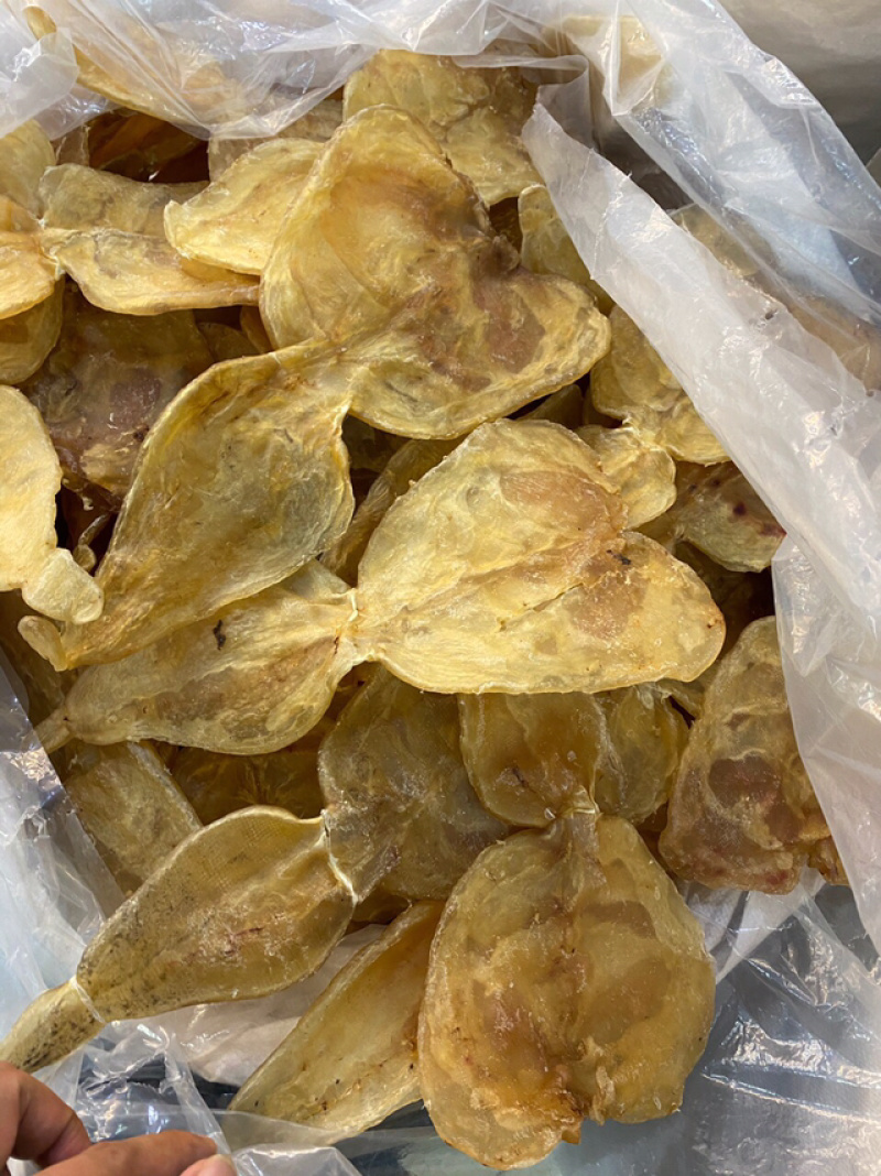 花胶新鲜漂亮厚肉葫芦鱼胶干度好泡发大烧烤滩高利润空间产品