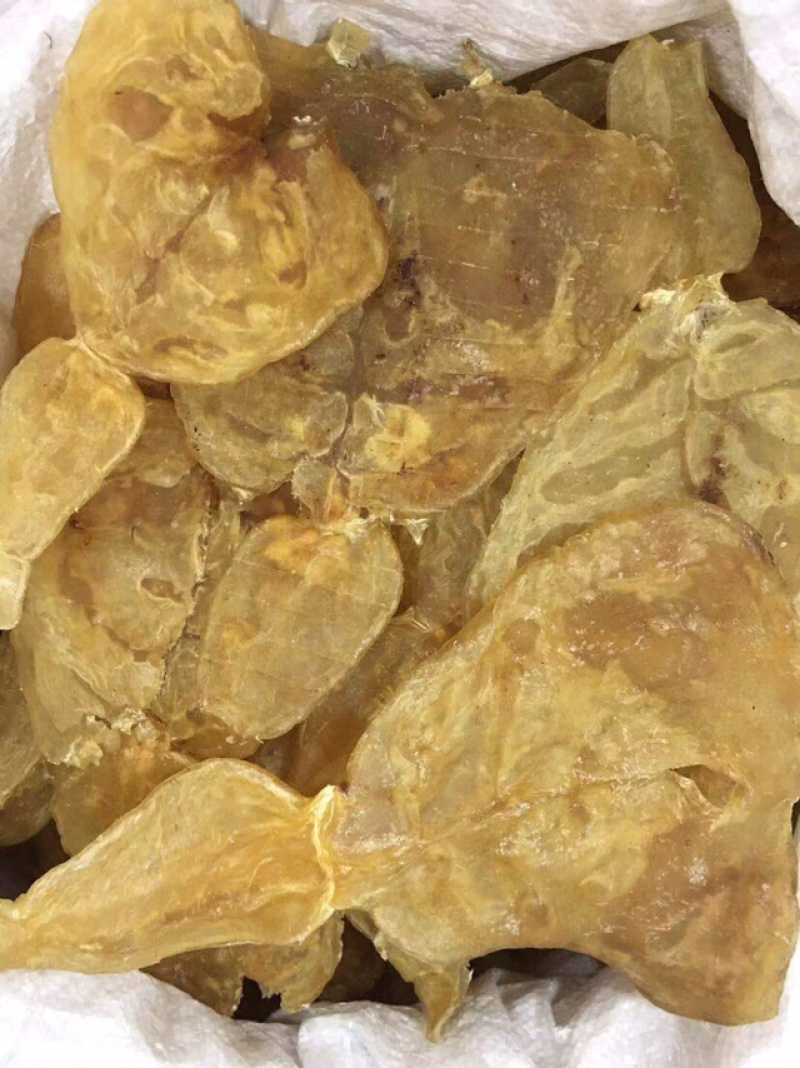 花胶新鲜漂亮厚肉葫芦鱼胶干度好泡发大烧烤滩高利润空间产品