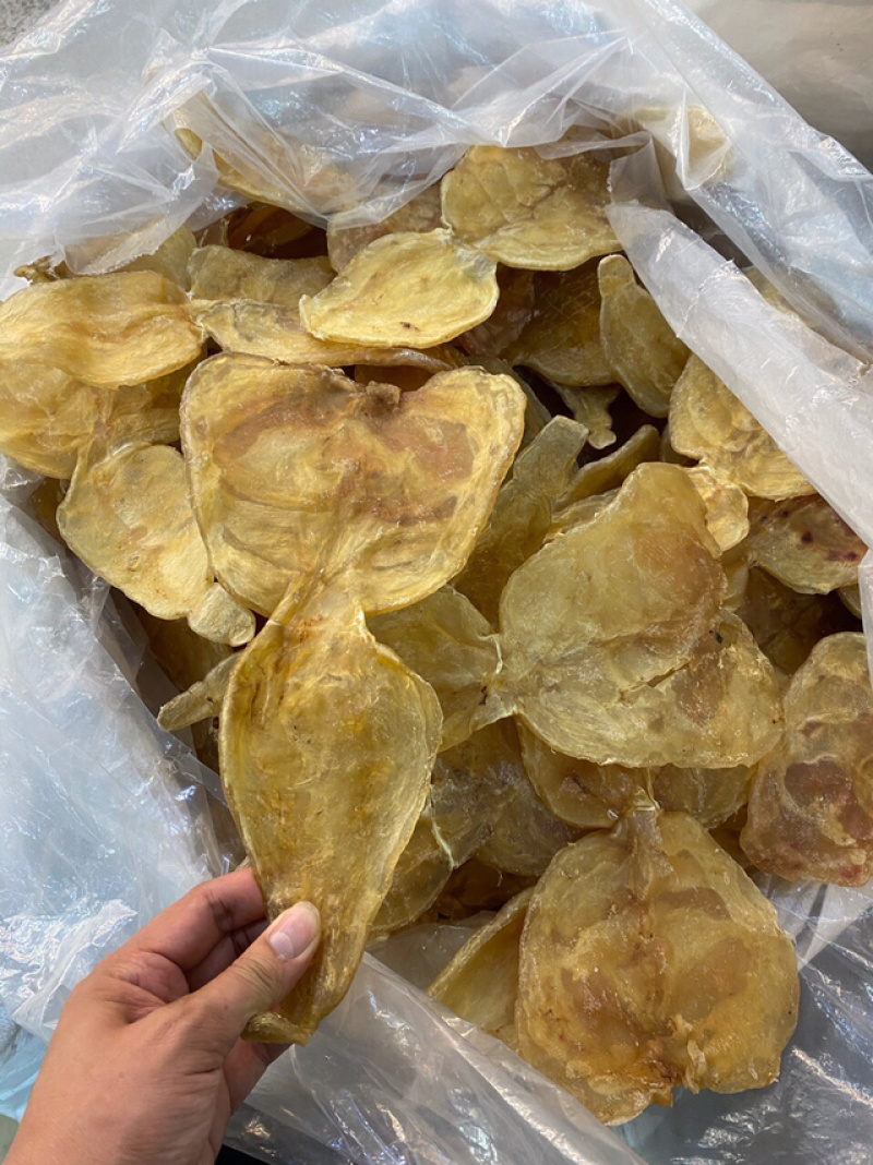 花胶新鲜漂亮厚肉葫芦鱼胶干度好泡发大烧烤滩高利润空间产品