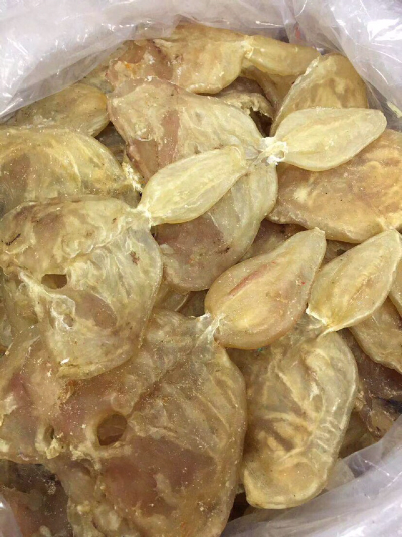 花胶新鲜漂亮厚肉葫芦鱼胶干度好泡发大烧烤滩高利润空间产品