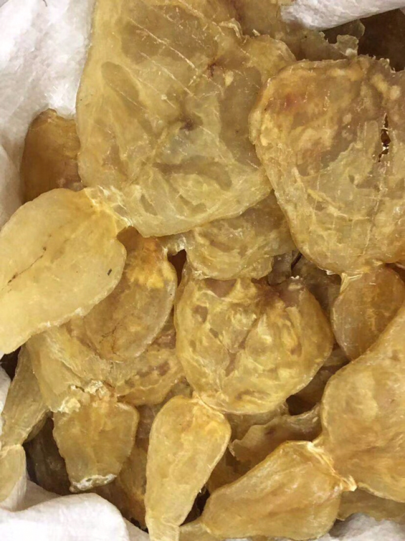 花胶新鲜漂亮厚肉葫芦鱼胶干度好泡发大烧烤滩高利润空间产品