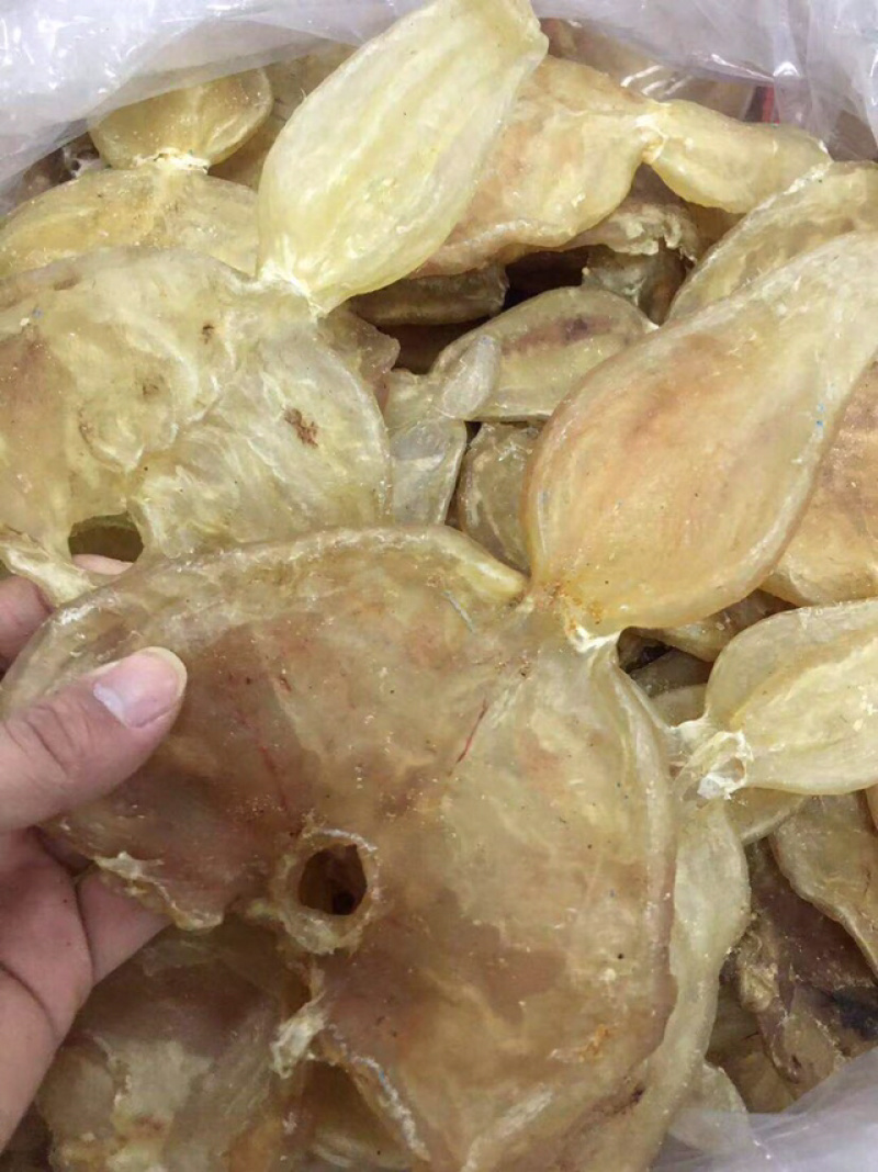 花胶新鲜漂亮厚肉葫芦鱼胶干度好泡发大烧烤滩高利润空间产品