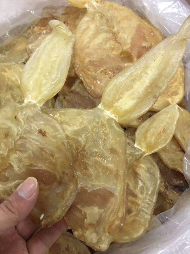 花胶新鲜漂亮厚肉葫芦鱼胶干度好泡发大烧烤滩高利润空间产品