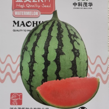 金美2K、4K礼品西瓜种子，高糖甜脆多汁，皮薄韧性好，风