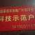 安徽省六安市大量供应浙大一号早熟双季茭白老墩苗，包运费