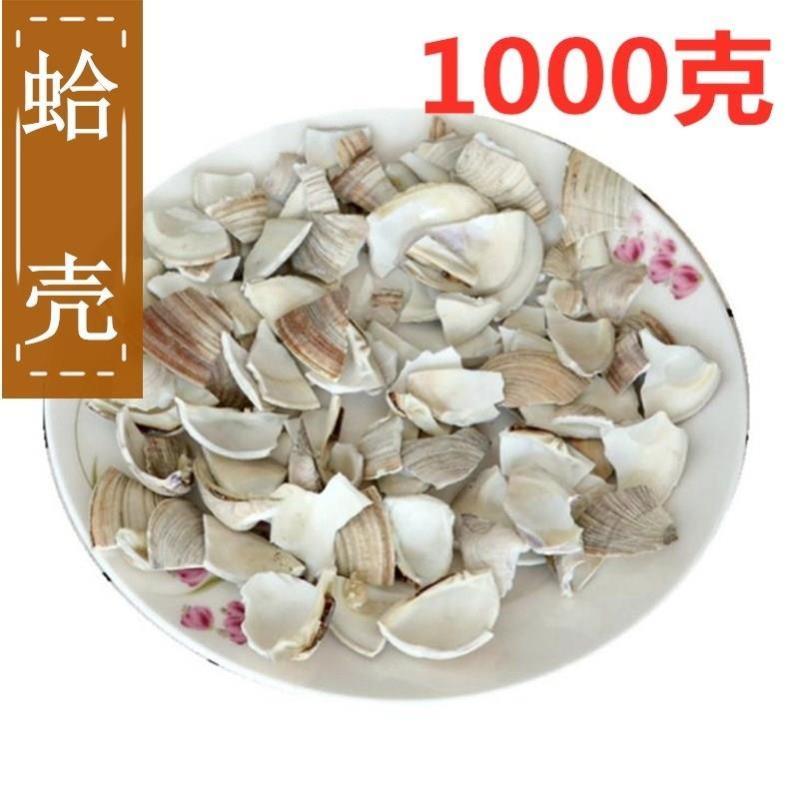 中药材供应蛤壳海蛤壳文蛤海蛤壳500克包邮