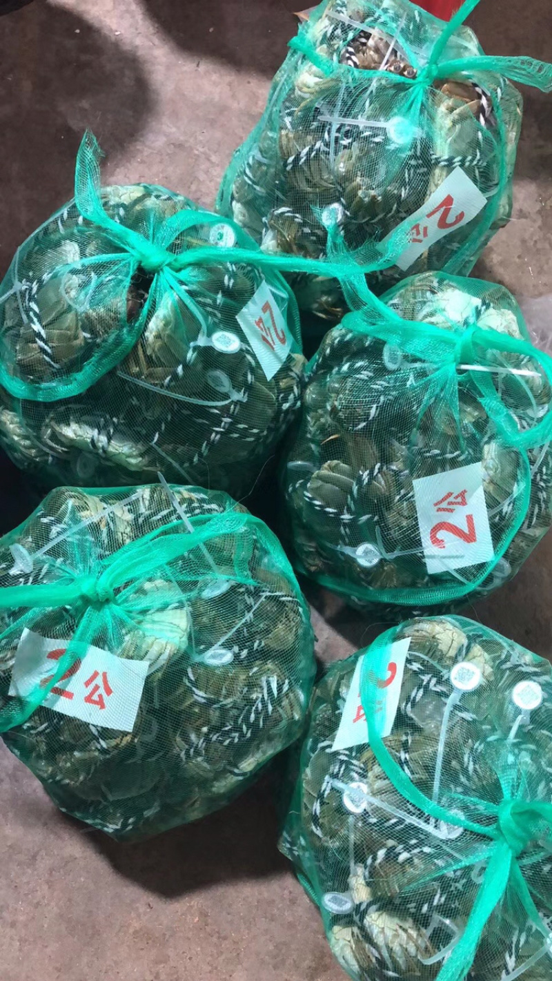 《江苏母蟹报价》江苏兴化大闸蟹，货源稳定，量大从优