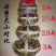 《江苏母蟹报价》江苏兴化大闸蟹，货源稳定，量大从优