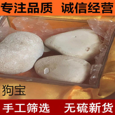 狗宝中药材新货包邮正品狗黄金金蛋子