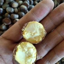 山东蒙山板栗急售，冷库直接发货，无中间商，价格低，质量好