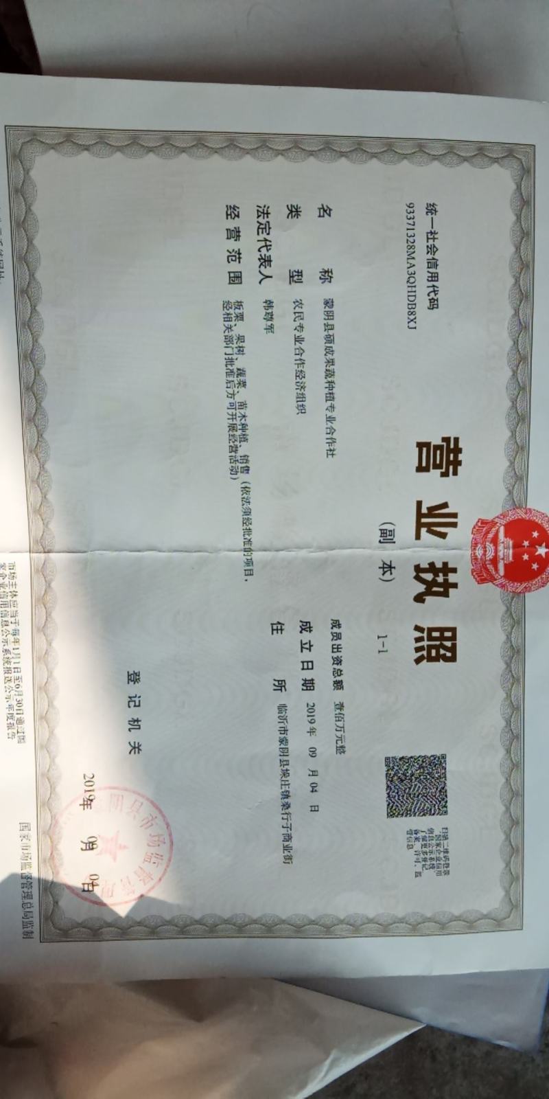 山东蒙山板栗急售，冷库直接发货，无中间商，价格低，质量好