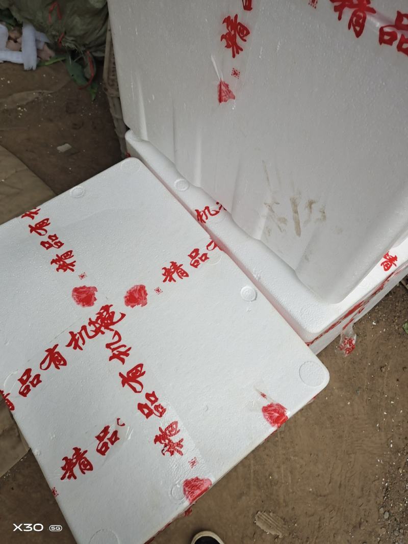 寿光市稻田镇精品有机花大批量上市中质优价廉