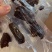 老御头正宗东北梅花鹿肉干净重500g简装/袋滋补好吃不贵