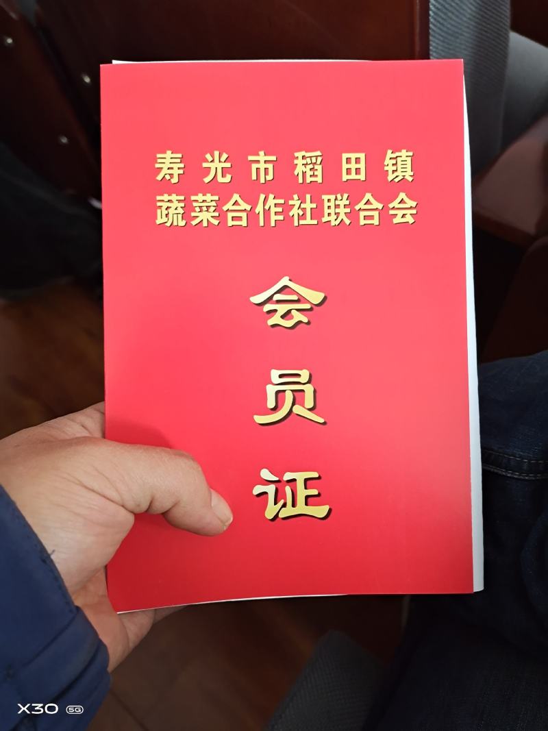 寿光市稻田镇精品有机花大批量上市中质优价廉