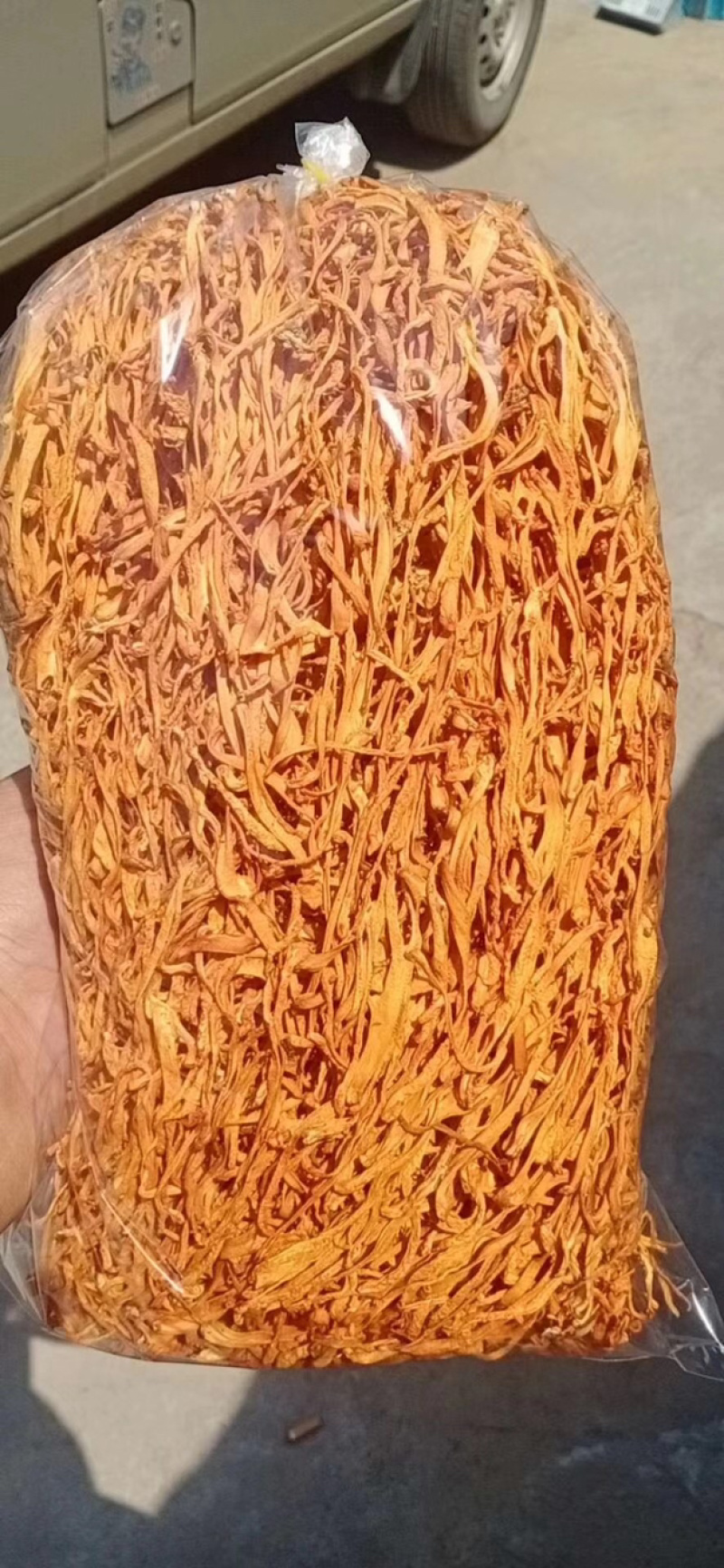 干货北虫草金虫草孢子头