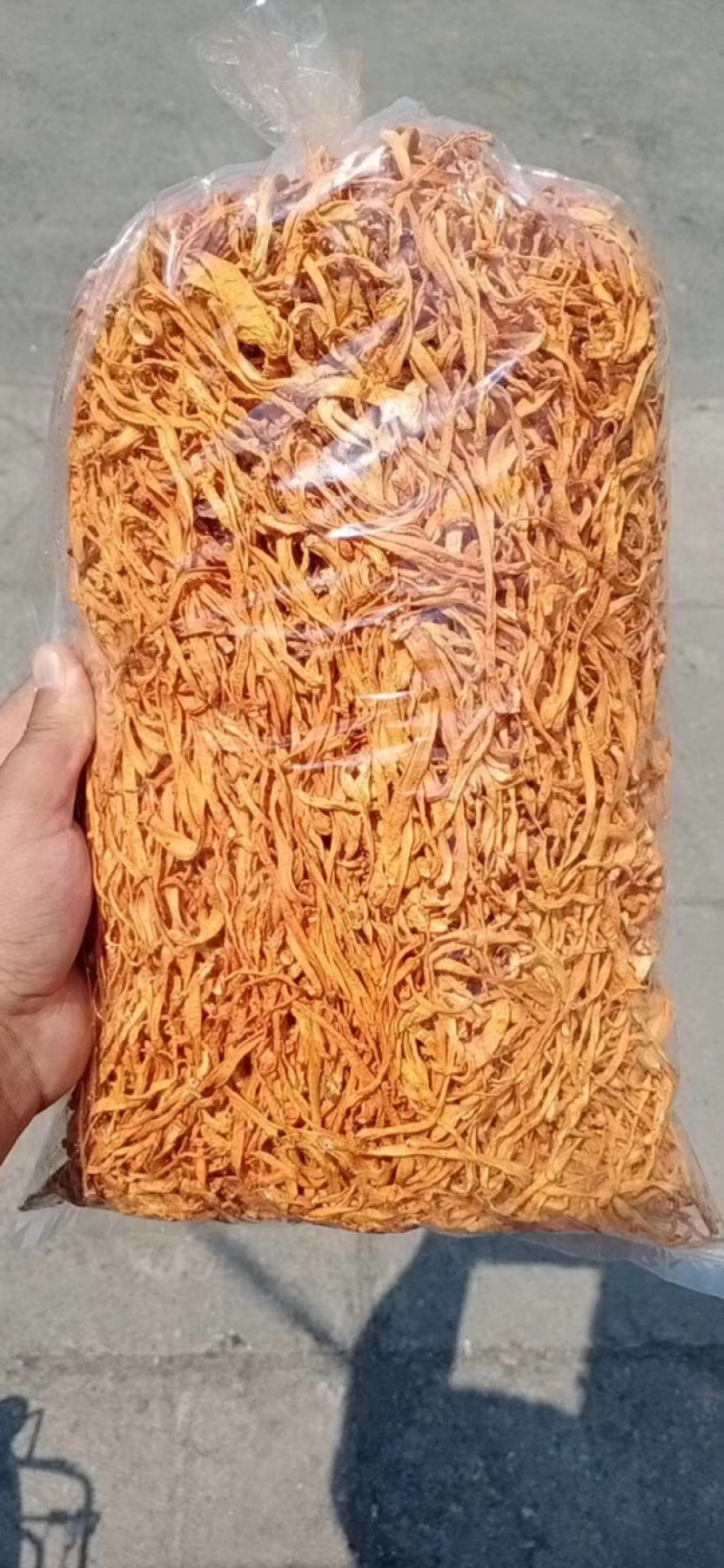 干货北虫草金虫草孢子头
