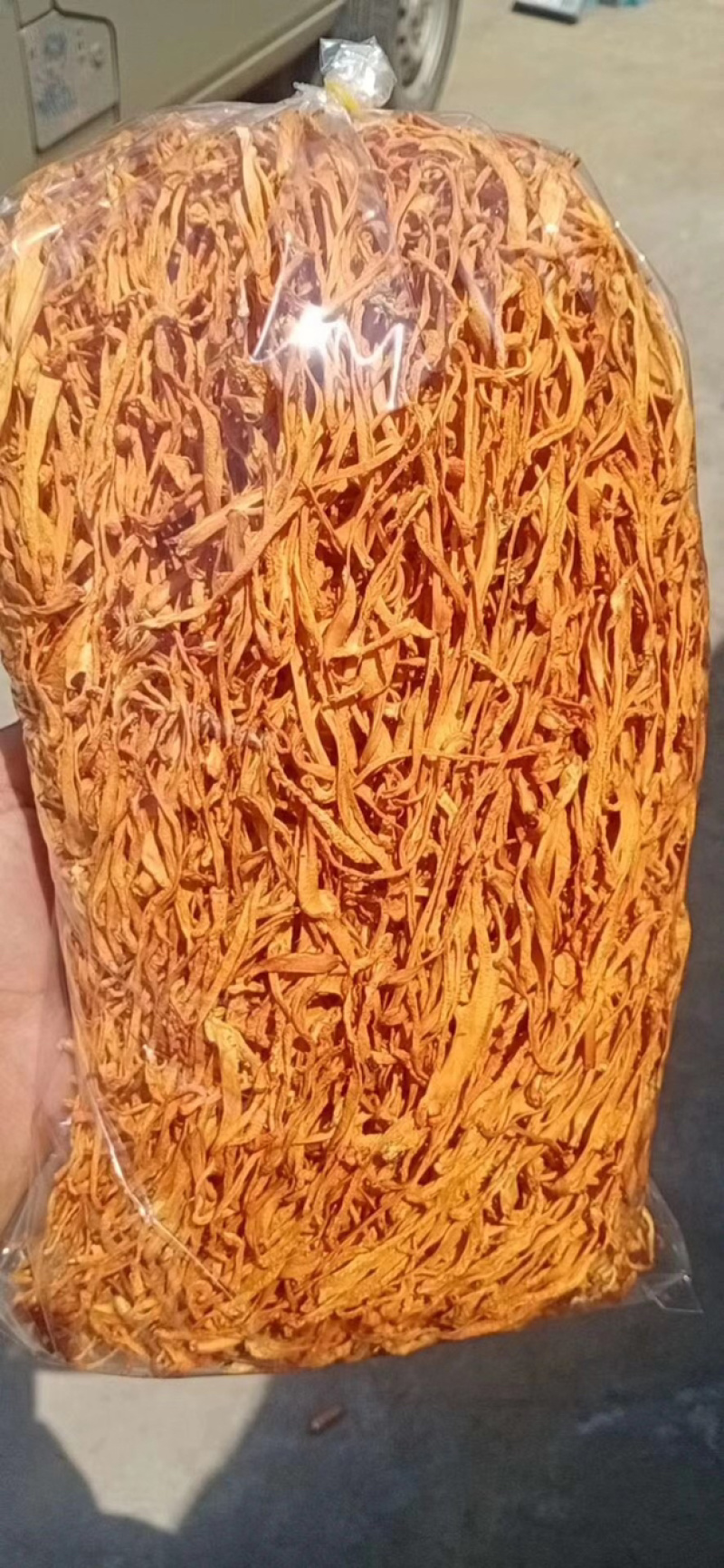 干货北虫草金虫草孢子头