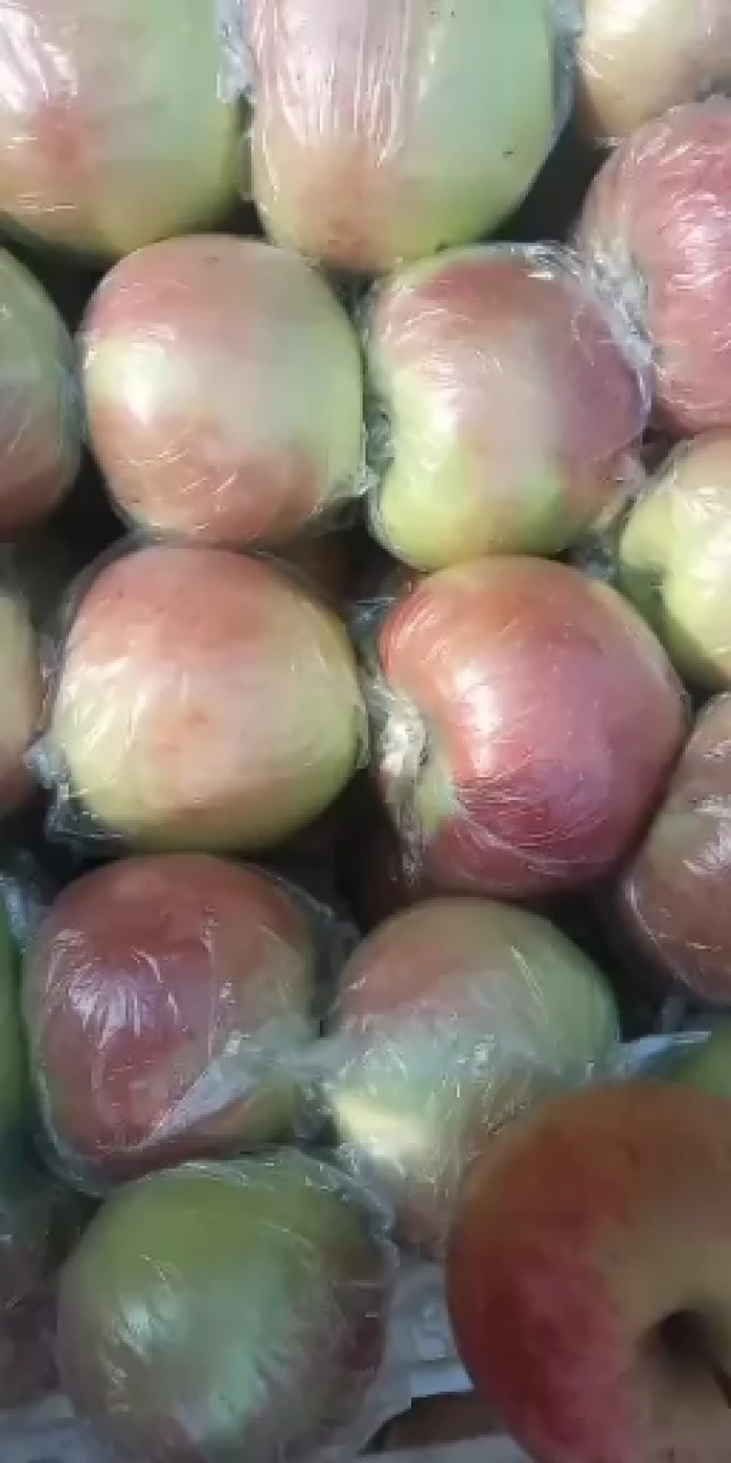 山东优质富士苹果纸袋大量供应，货源充足