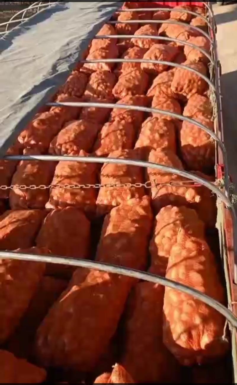 推荐土豆云南丽薯六号土豆马铃薯一手货源产地直供