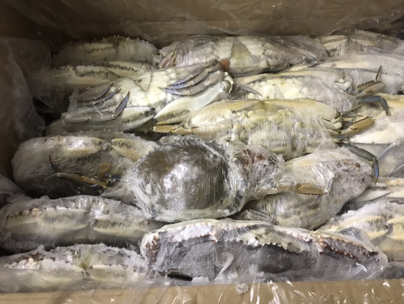 西非蓝蟹肉质饱满船冻货适合中餐大排档香辣炒