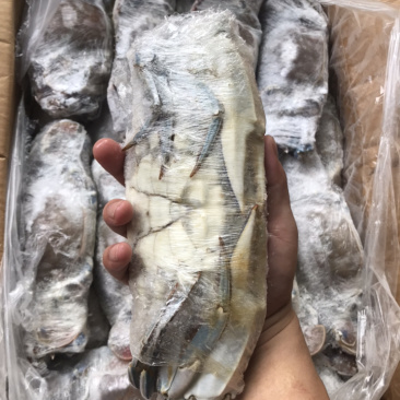 西非蓝蟹肉质饱满船冻货适合中餐大排档香辣炒