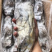 西非蓝蟹肉质饱满船冻货适合中餐大排档香辣炒