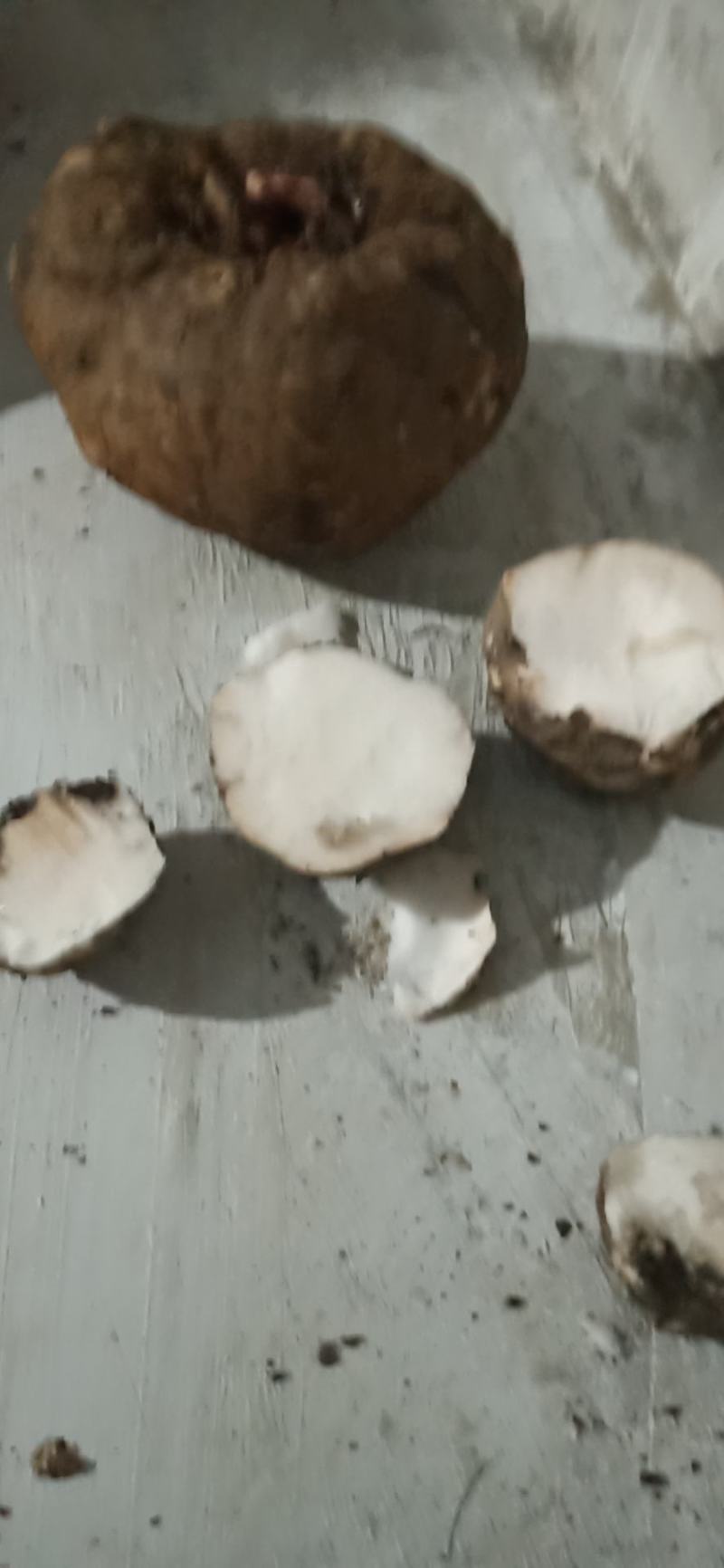 出售商品花魔芋，质量保证，量大从优，质量保证。