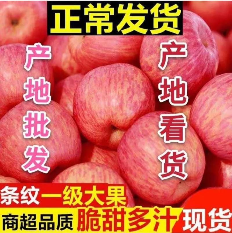 手选山东纸加膜红富士苹果！口感脆甜！糖度高！可以视频看货