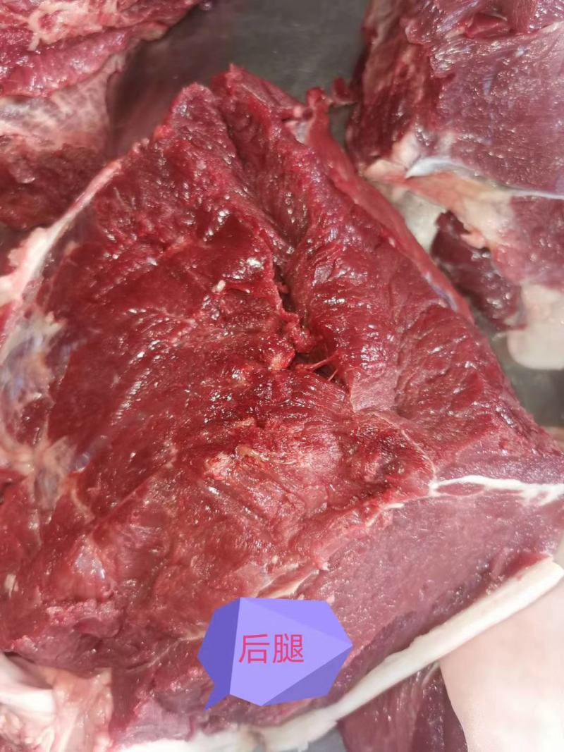 鲜驴肉，带皮驴肉，去皮驴肉自家养殖场现杀现宰，保证质量