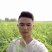 【聚便宜】红不软桃树苗，7月中旬成熟，硬质果肉，果面全红