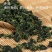 铁观音秋感德特级浓香观音韵250g/盒2盒500g