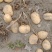 土豆新疆土豆黄心土豆本地客商，种植大户代收代卖