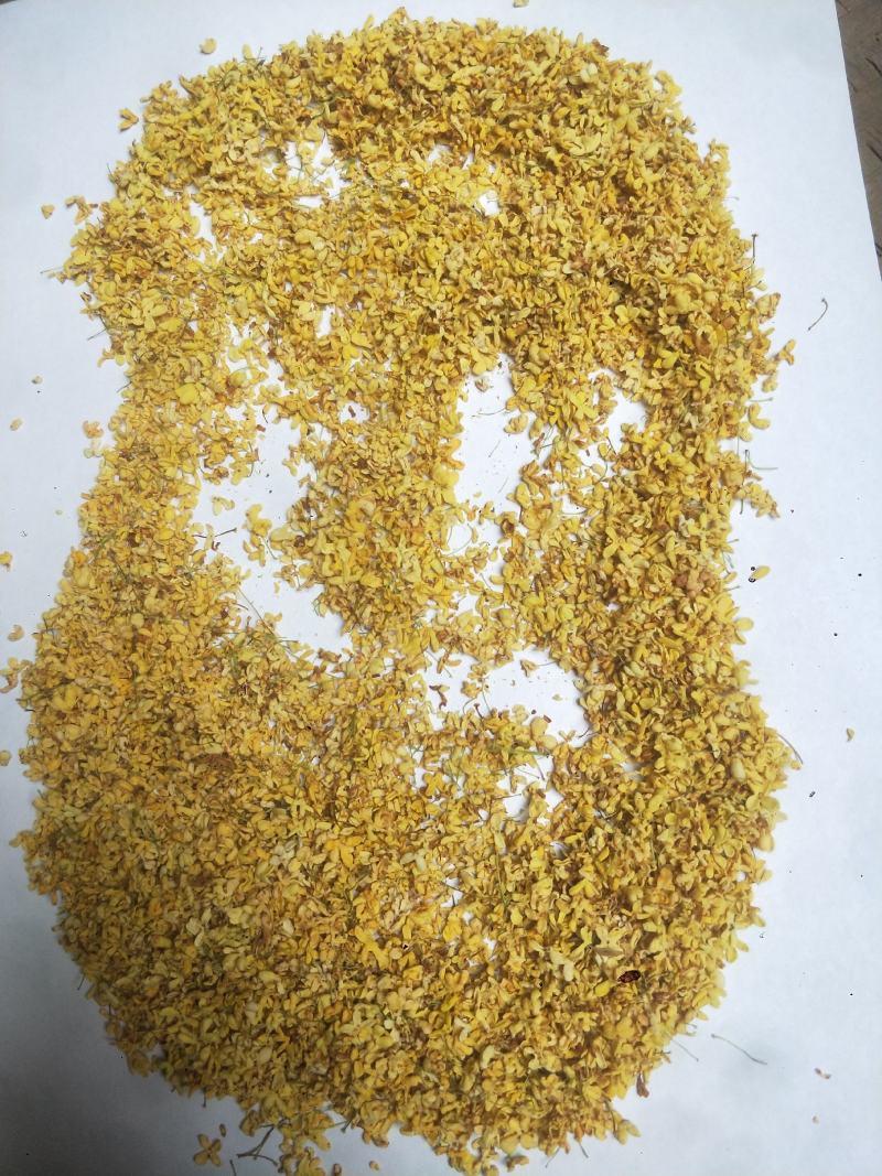 桂花