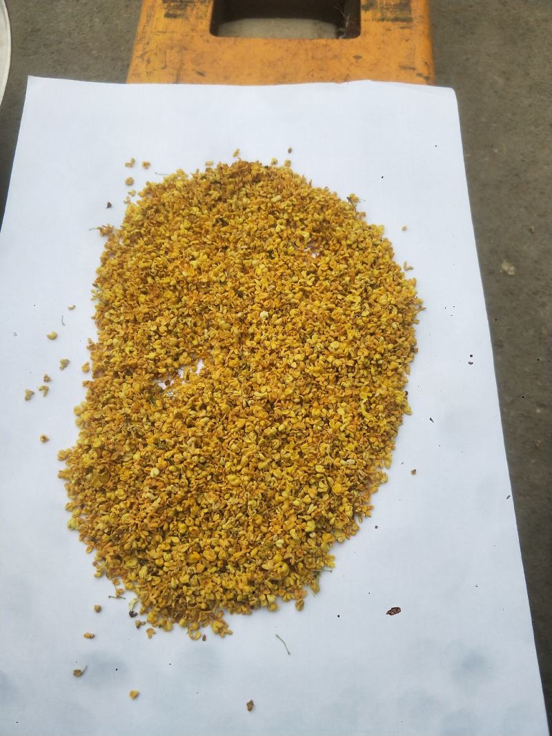 桂花