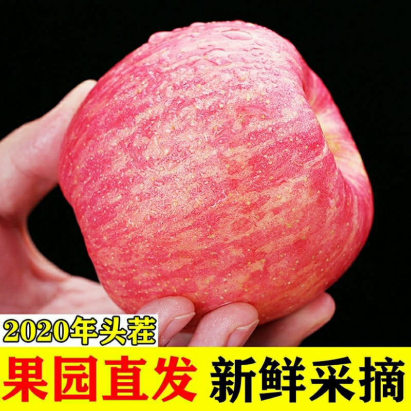 特级鲜水果红富士苹果脆甜条红片苹果冰糖心脆甜可口多汁富