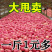 特级鲜水果红富士苹果脆甜条红片苹果冰糖心脆甜可口多汁富