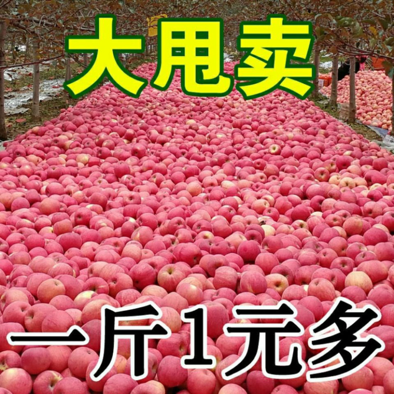 特级鲜水果红富士苹果脆甜条红片苹果冰糖心脆甜可口多汁富