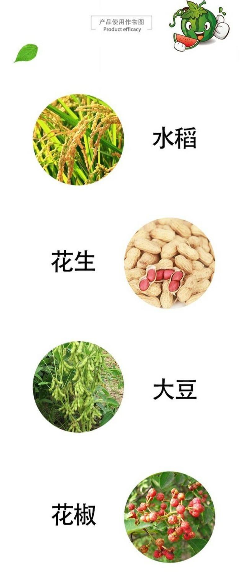 5%烯效唑花椒收老药水稻花生大豆果树药材多肉控旺长农药