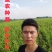 新黄一桃苗，新品种，个头大，口感脆甜，产量高