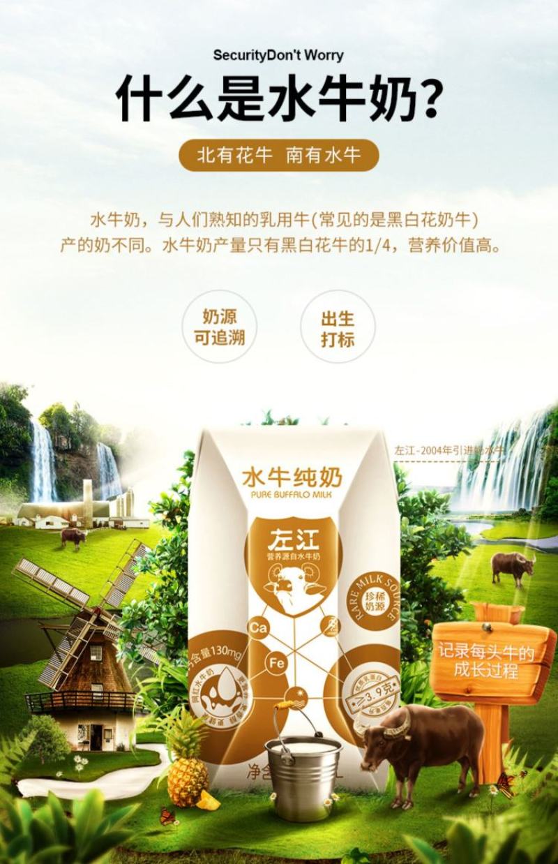 包邮广西左江水牛奶，牛奶，水牛纯牛奶200ml10盒